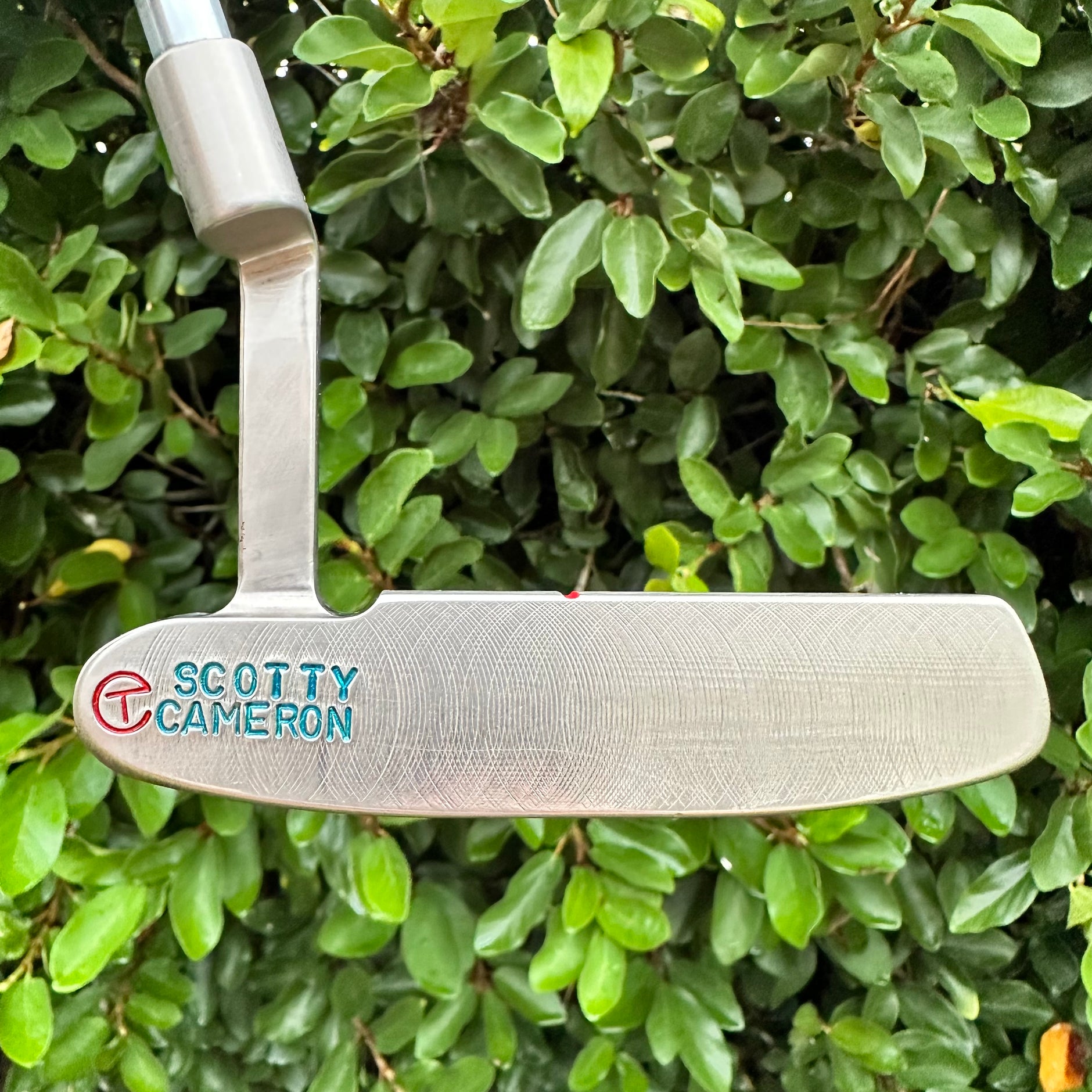 New – Page 2 – LeftyScottys
