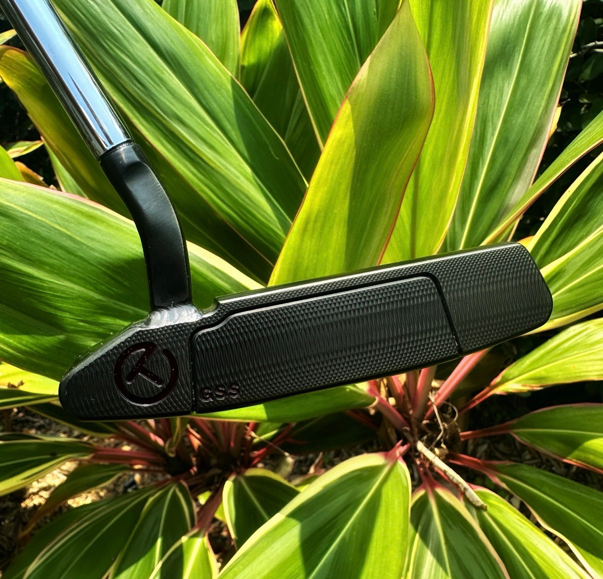 LH Tour Concept 2