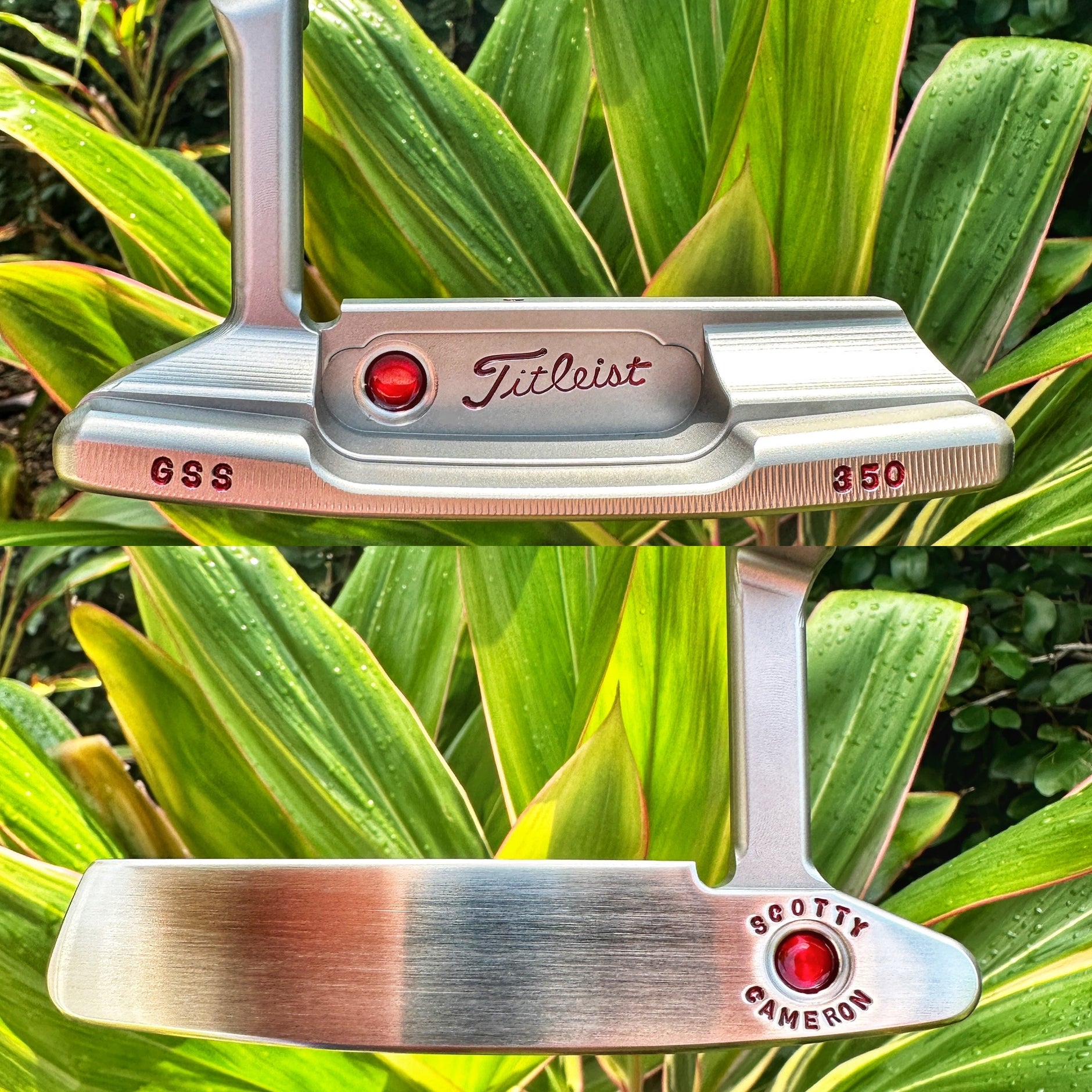 Tour Putters – LeftyScottys