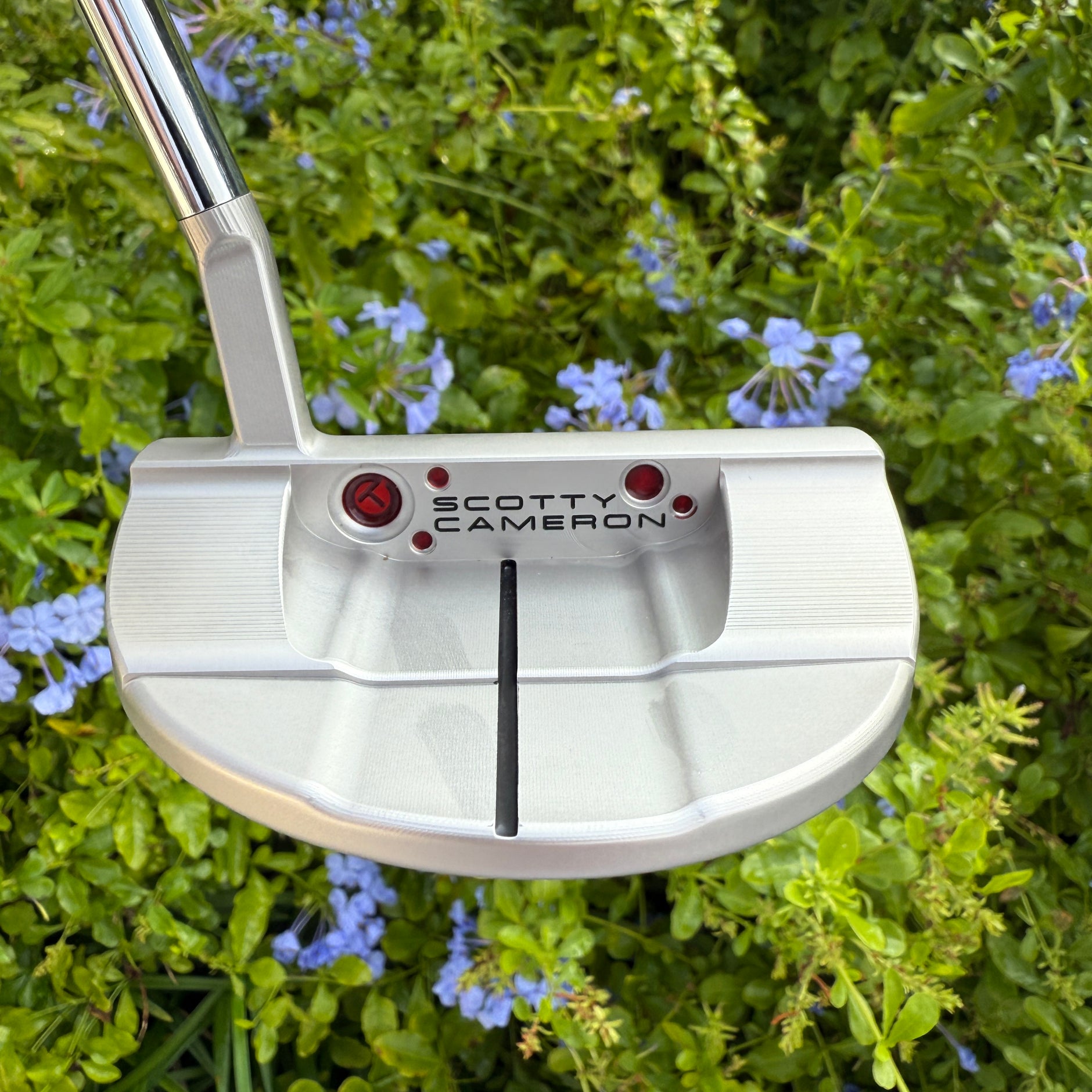 Putters – LeftyScottys