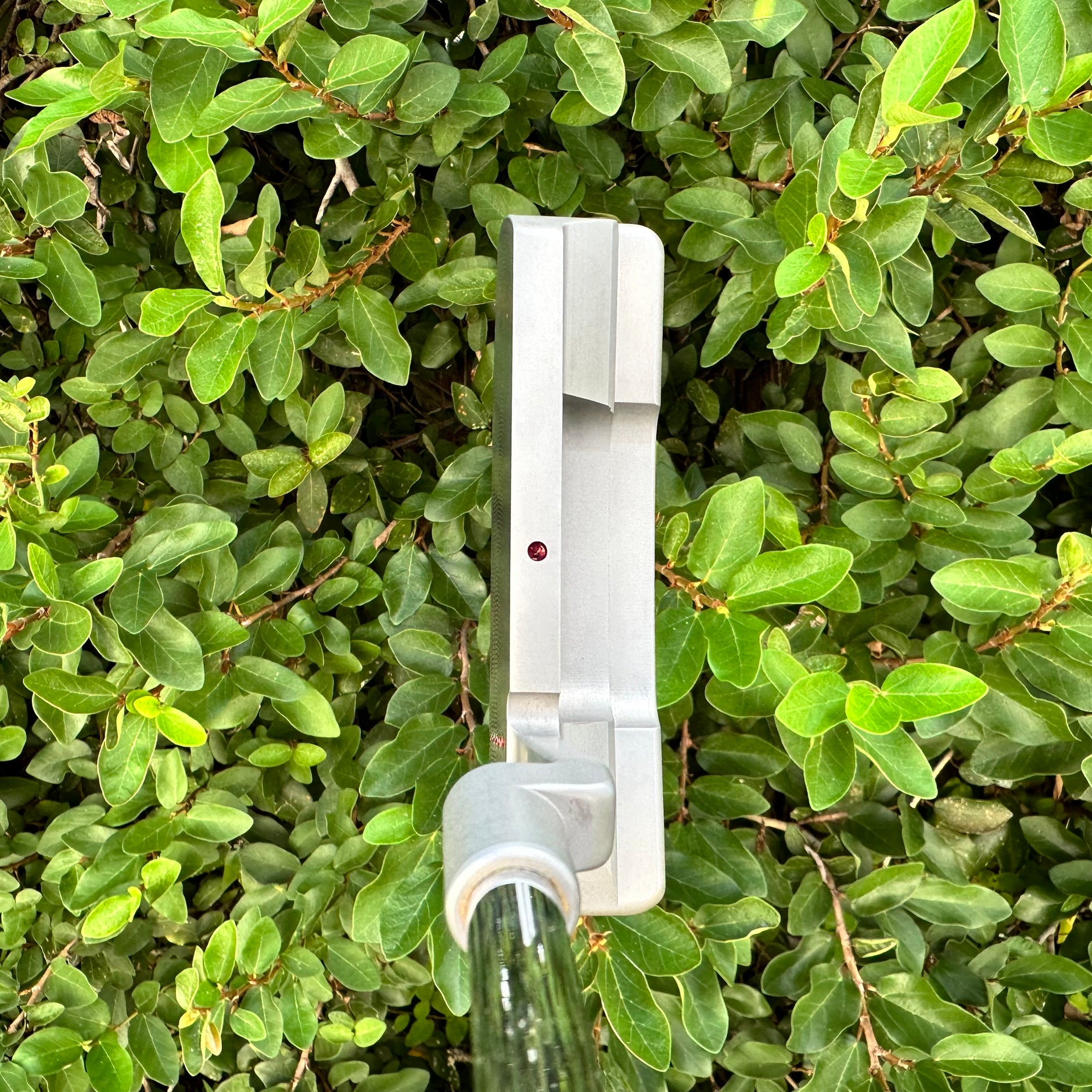 Putters – LeftyScottys
