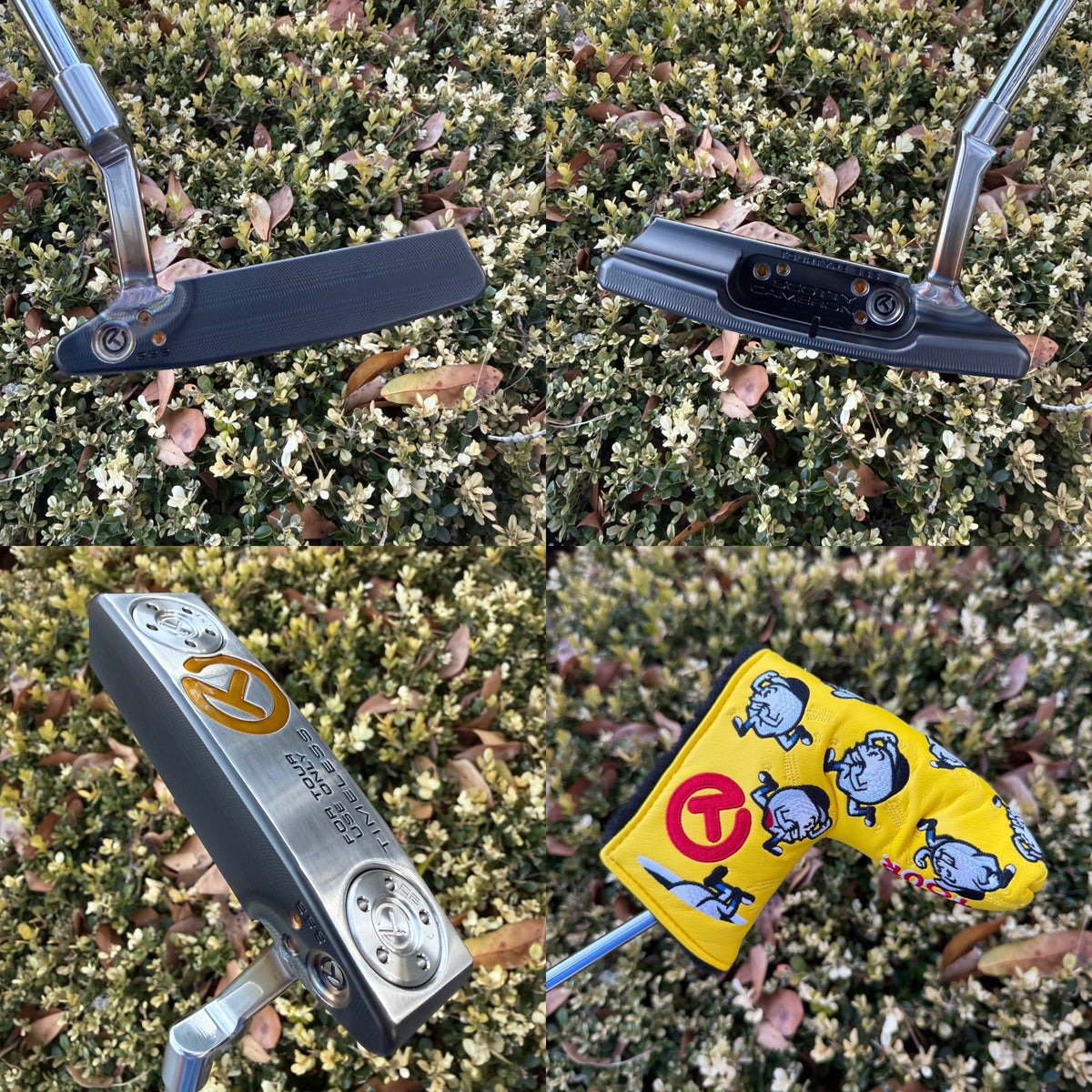 New LH Tourtype Timeless