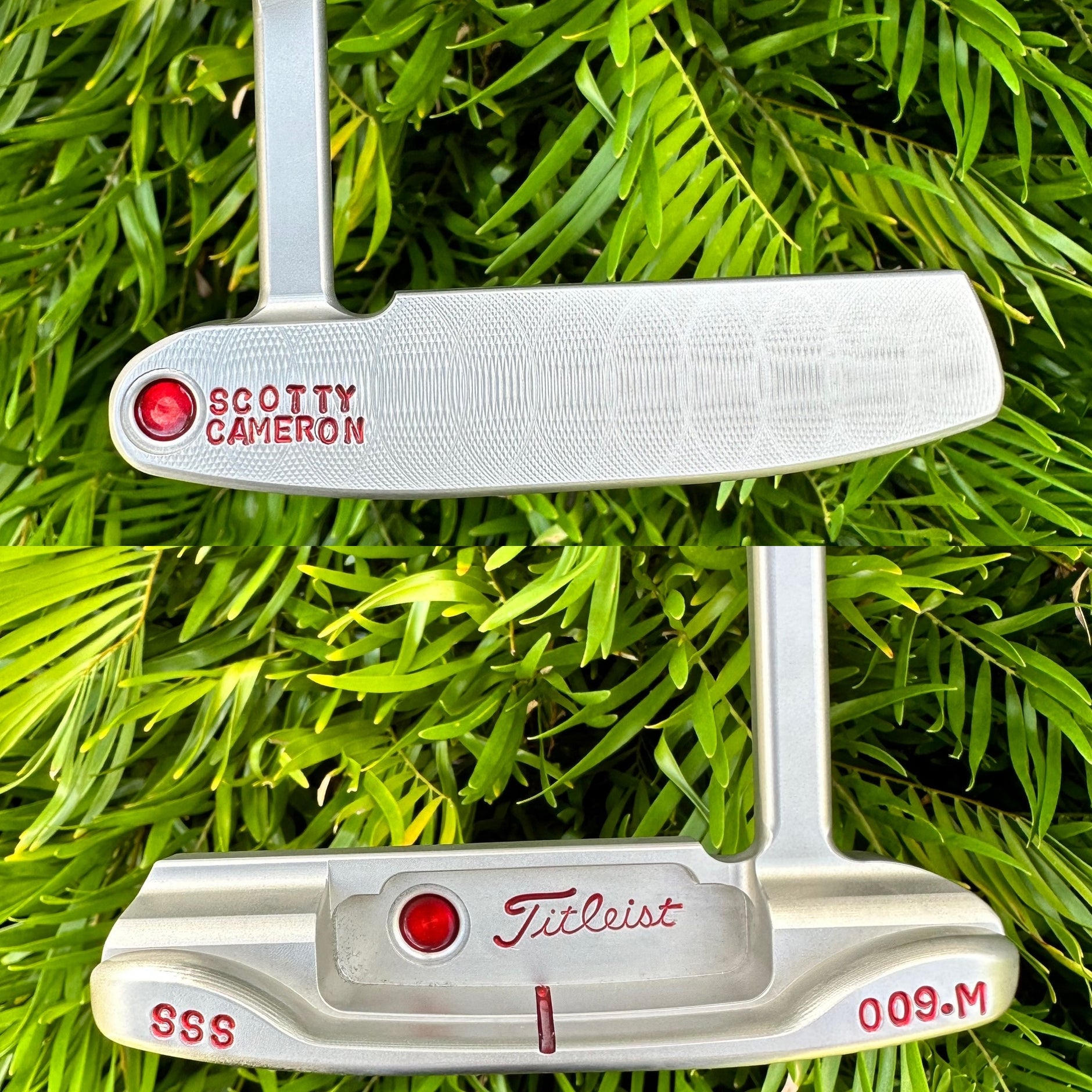 Products – LeftyScottys