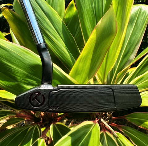 LH Tour Concept 2