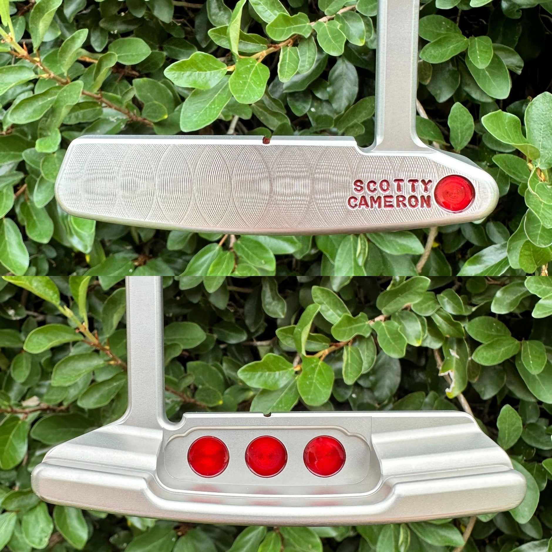 Home page – LeftyScottys