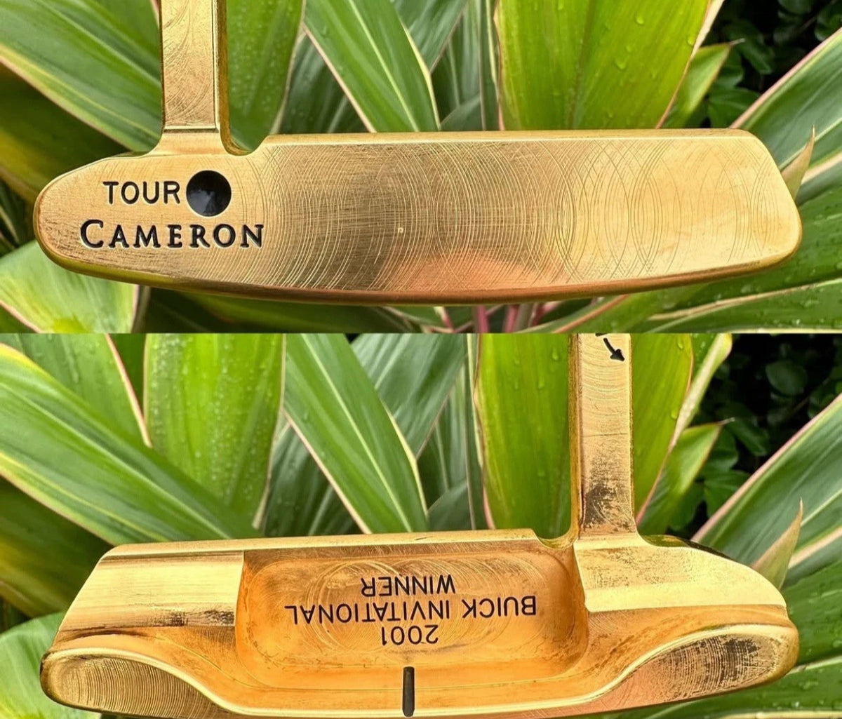 New Tour MICKELSON Newport